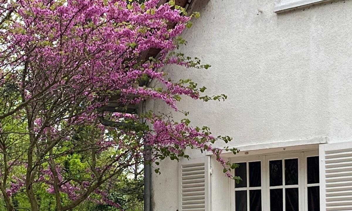 Photo of Outdoor in Chantambre