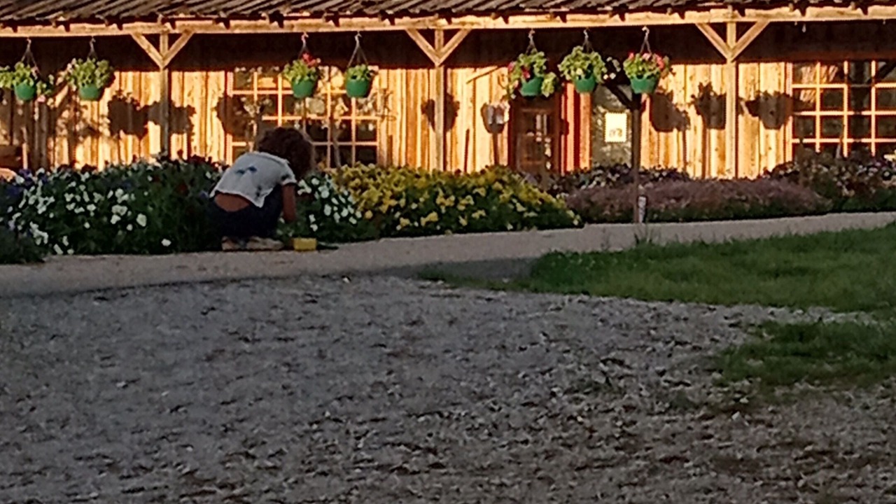 Photo of Others in Seymour