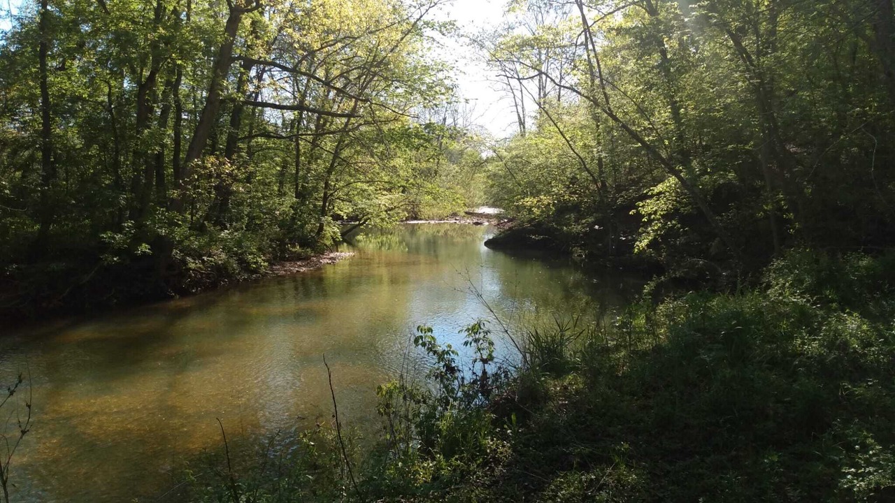 Photo of Others in Seymour