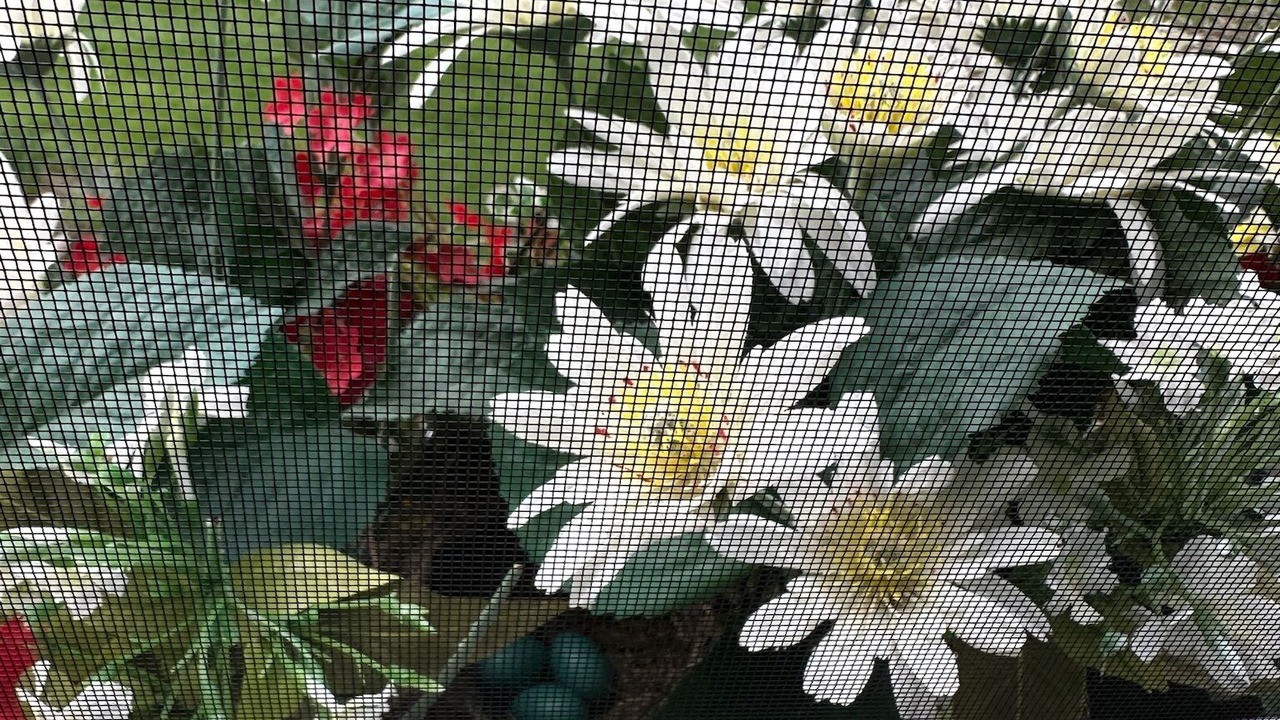 Photo of Others in Skaneateles