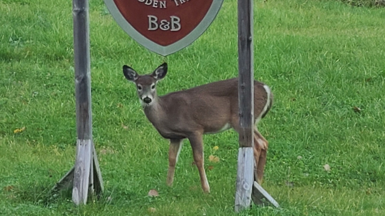 Photo of Outdoor in Chelsea