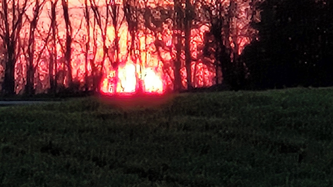 Photo of Others in Sennett