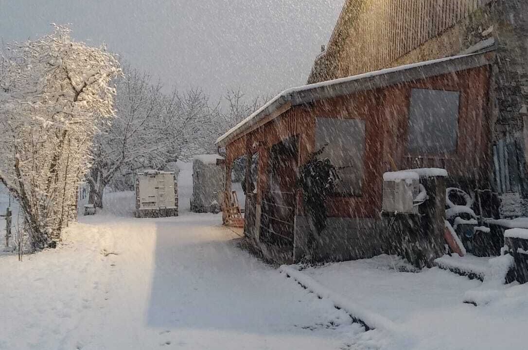 Photo of Outdoor in Saint-Pierre-de-Soucy