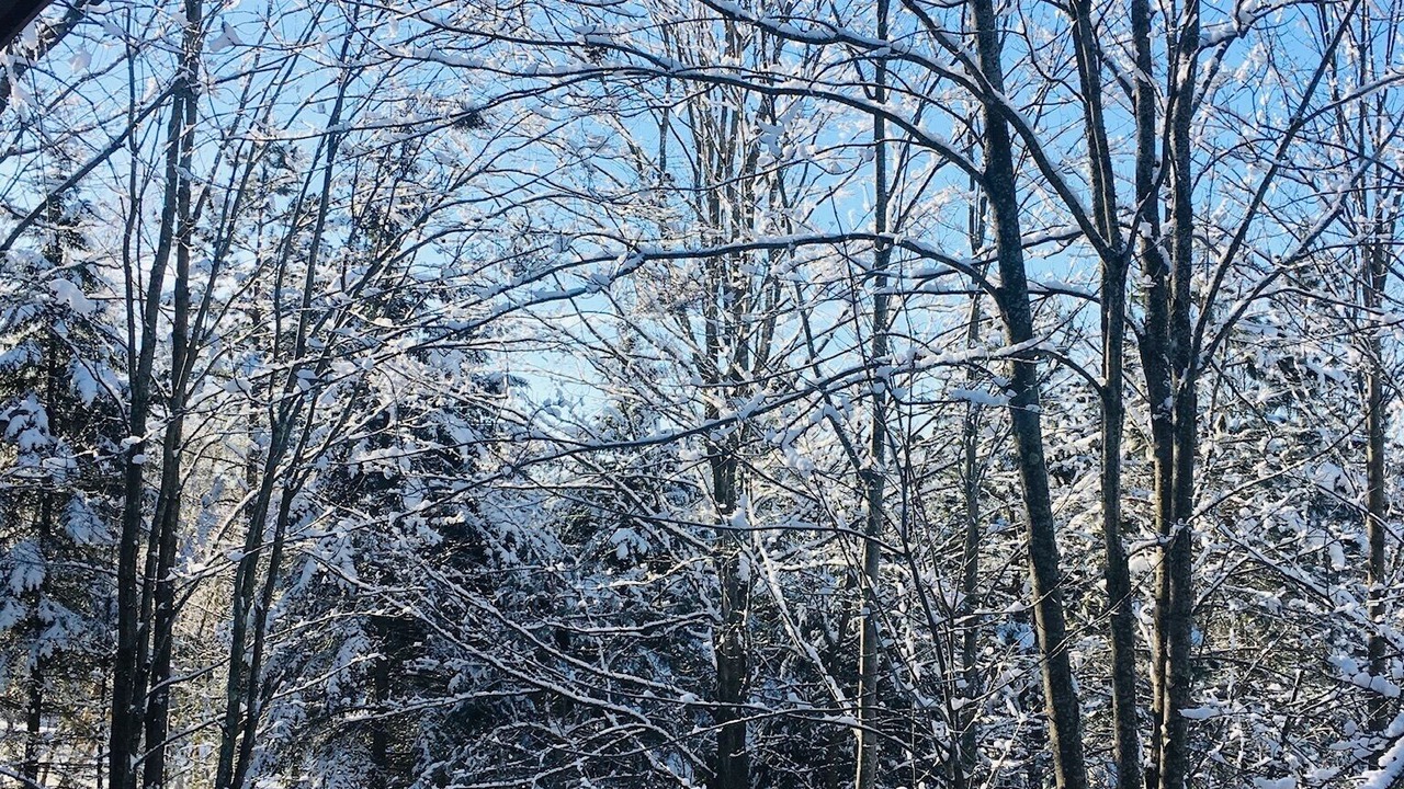 Photo of Outdoor in Mansonville