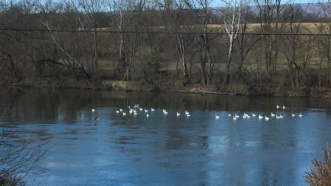 Photo of Others in Lewistown