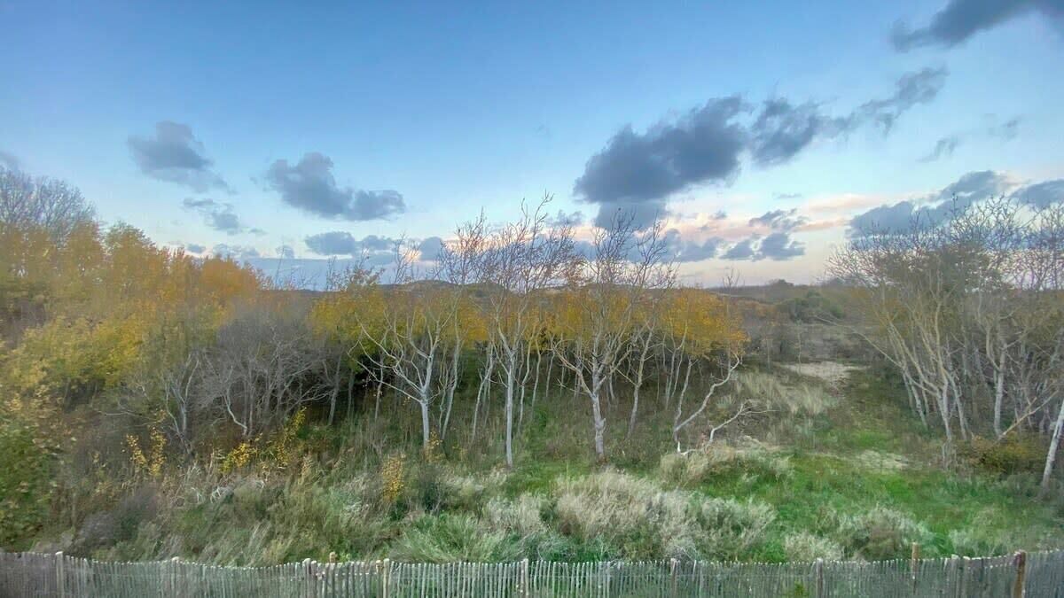 Photo of Outdoor in Merlimont-Plage