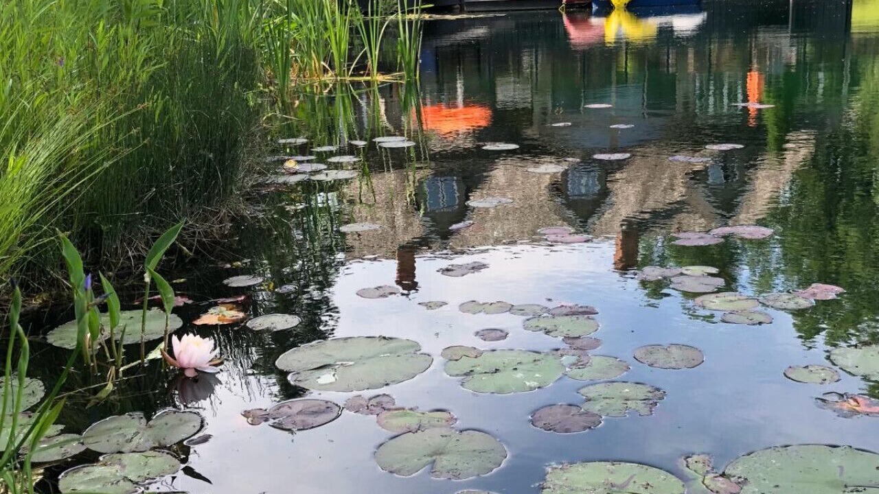 Photo of Outdoor in Uxbridge