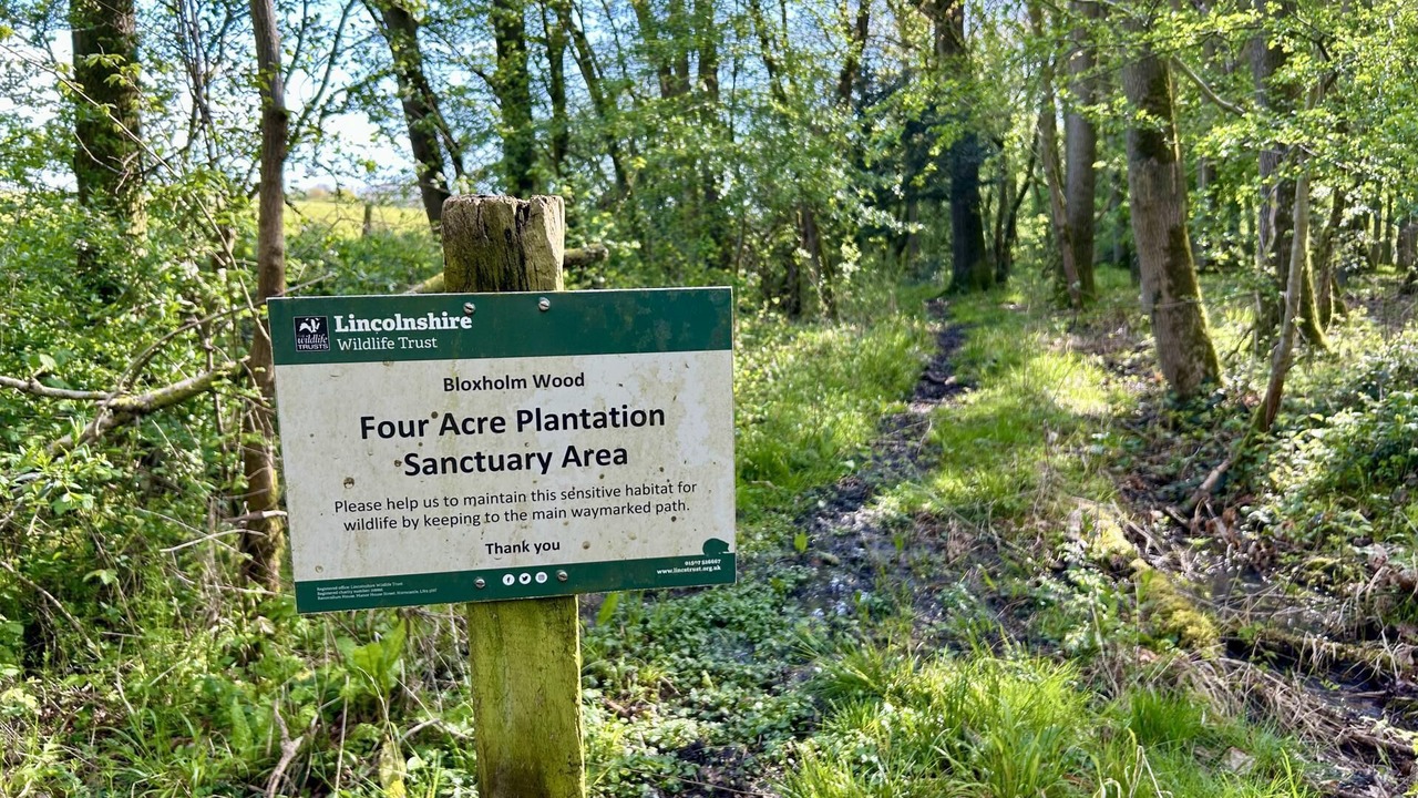 Photo of Others in Ruskington