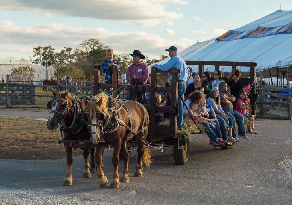 Photo of Outdoor in Waco