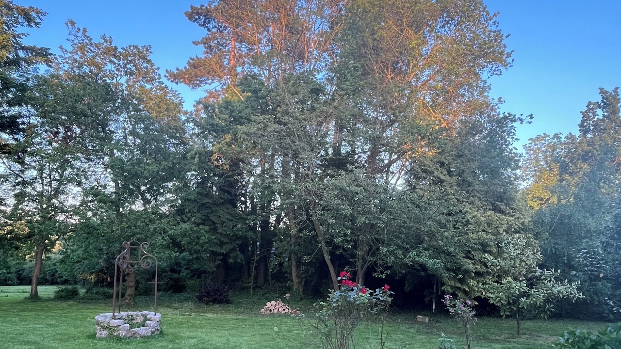 Photo of Outdoor in Rainfreville