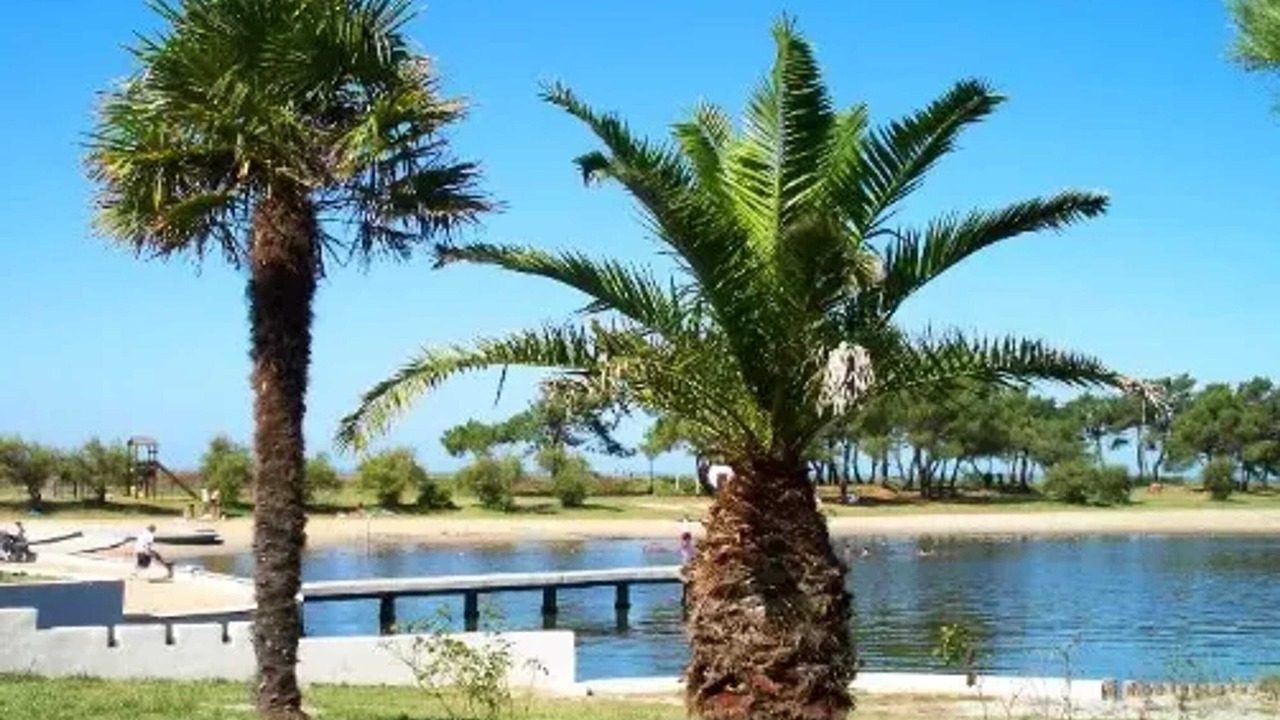 Photo of Others in Taussat