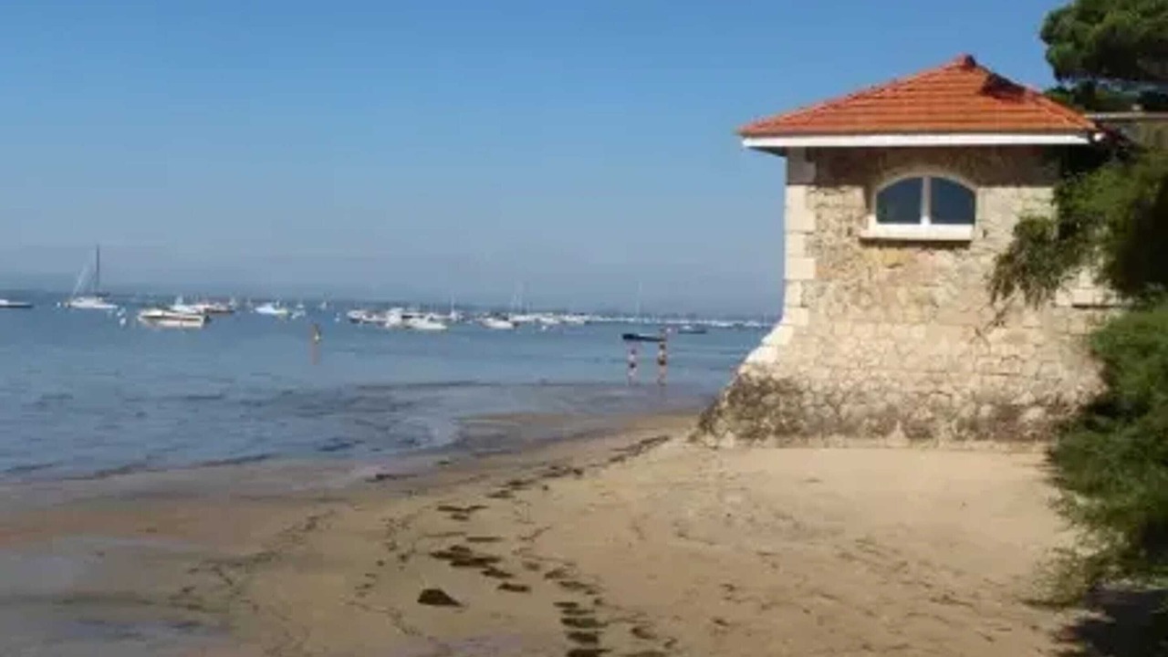 Photo of Others in Taussat