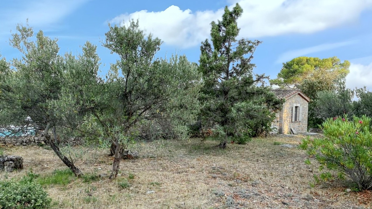 Photo of Outdoor in Entrecasteaux
