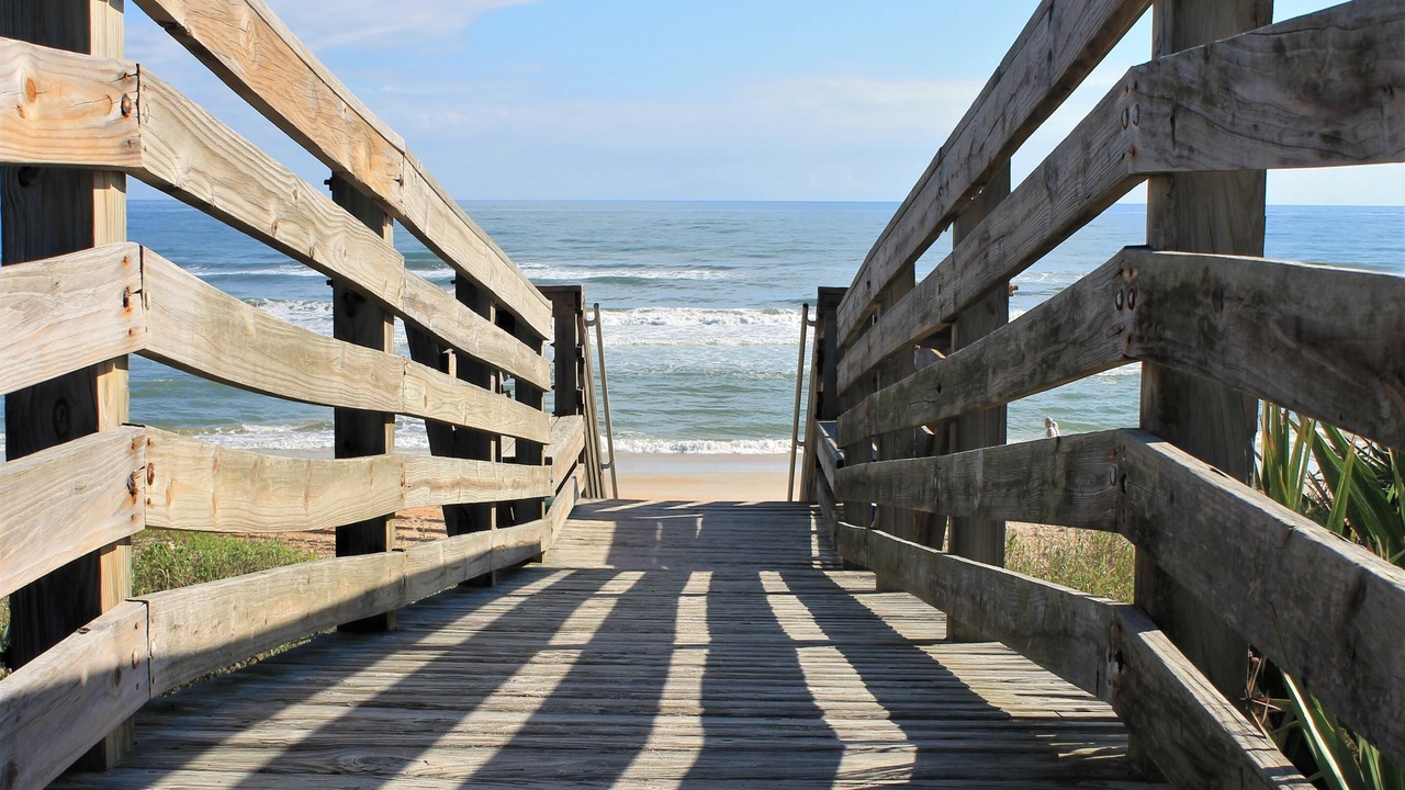 Photo of Others in Ormond-by-the-Sea