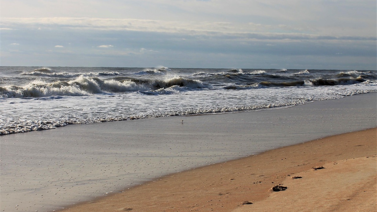 Photo of Others in Ormond-by-the-Sea