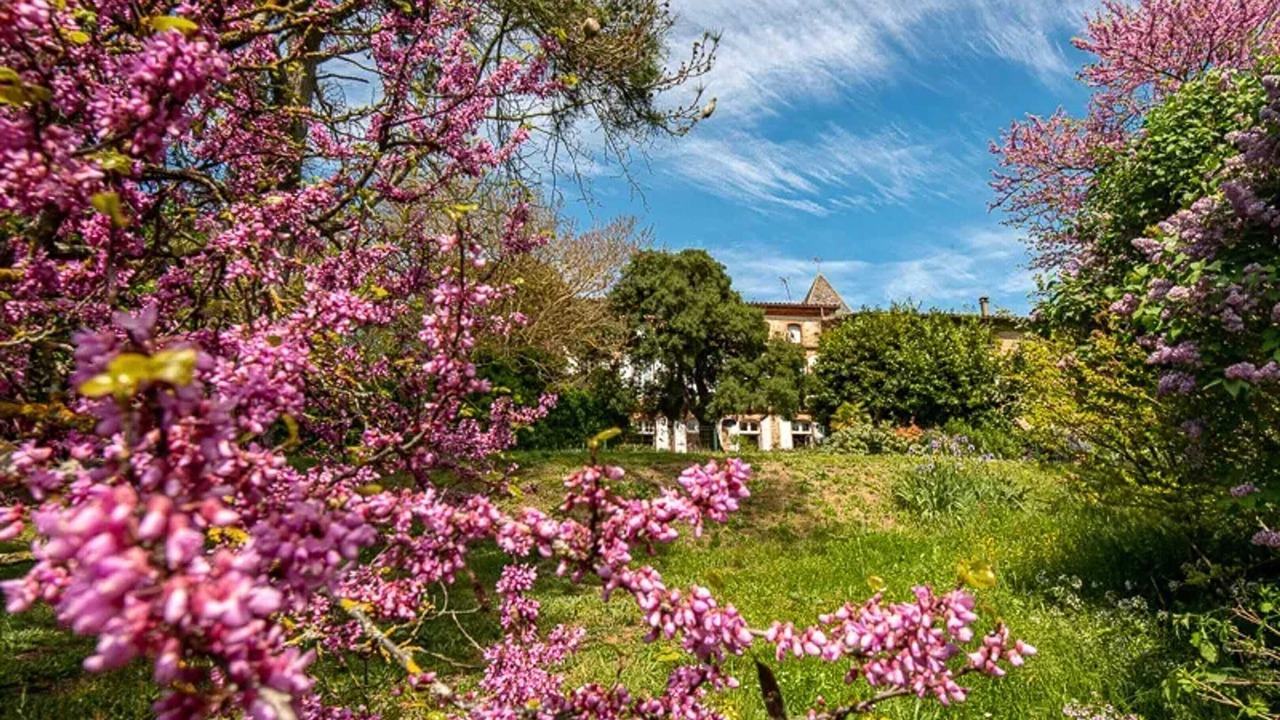 Photo of Outdoor in Gibel
