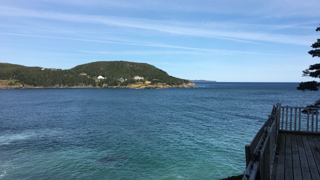 Photo of Others in Chance Cove