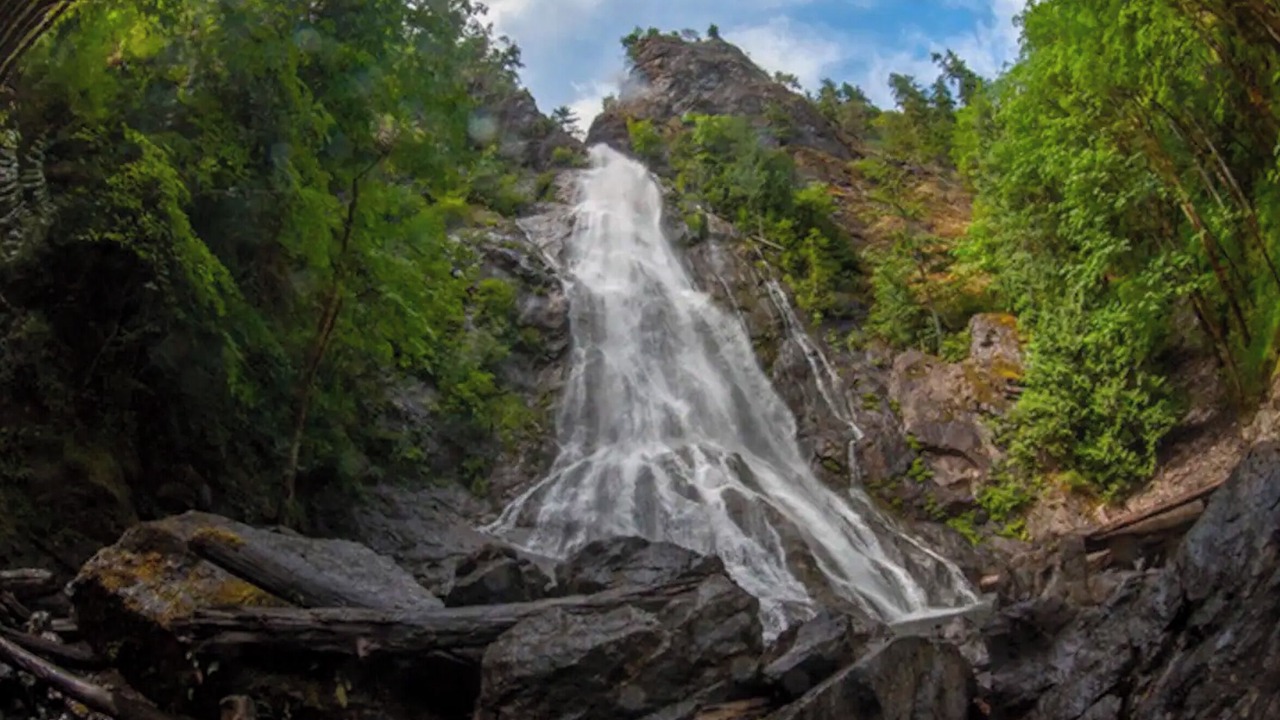 Photo of Outdoor in Brinnon