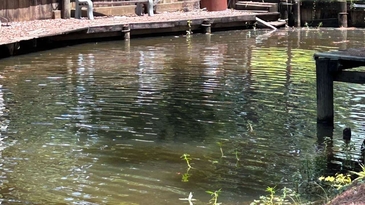 Photo of Outdoor in Florien