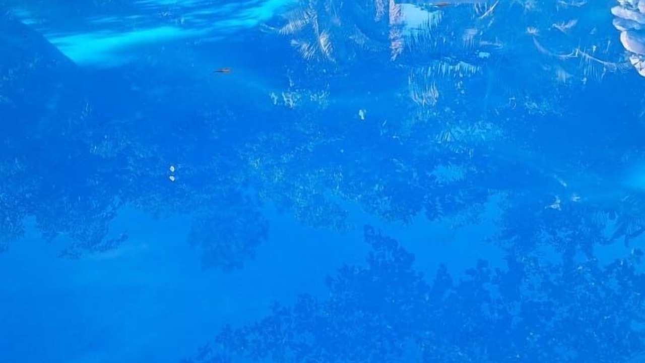 Photo of Outdoor in La Vega Province