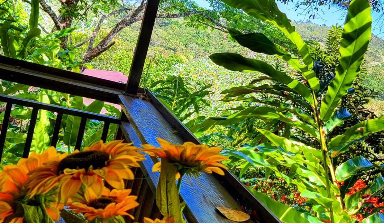 Photo of Outdoor in La Vega Province