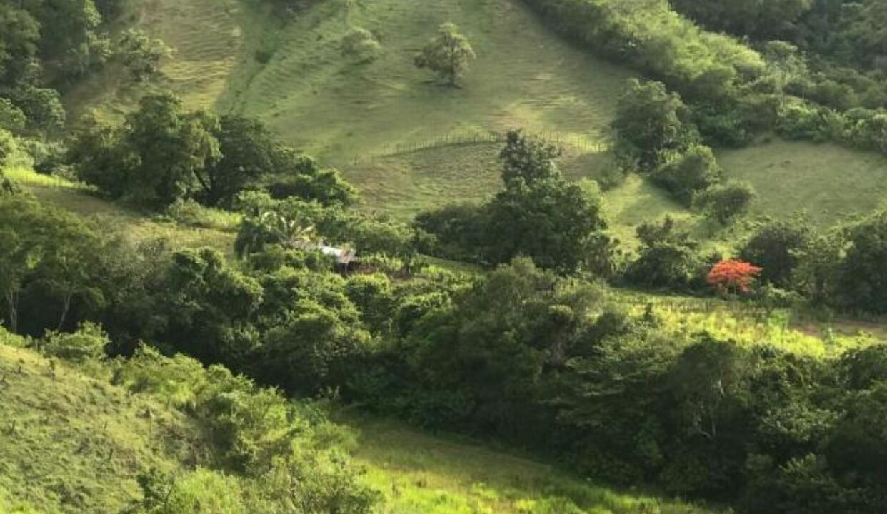 Photo of Outdoor in La Vega Province