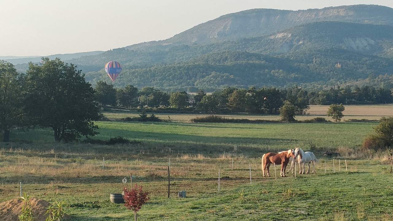 Photo of Outdoor in Ongles