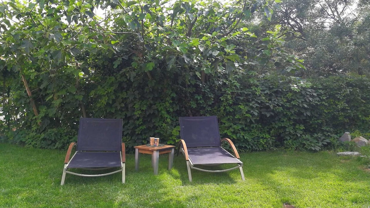 Photo of Outdoor in Saint-Gely-du-Fesc