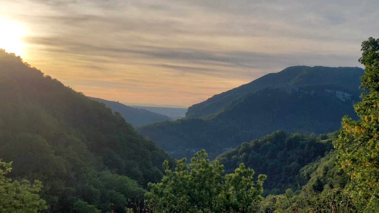 Photo of Outdoor in Torcieu