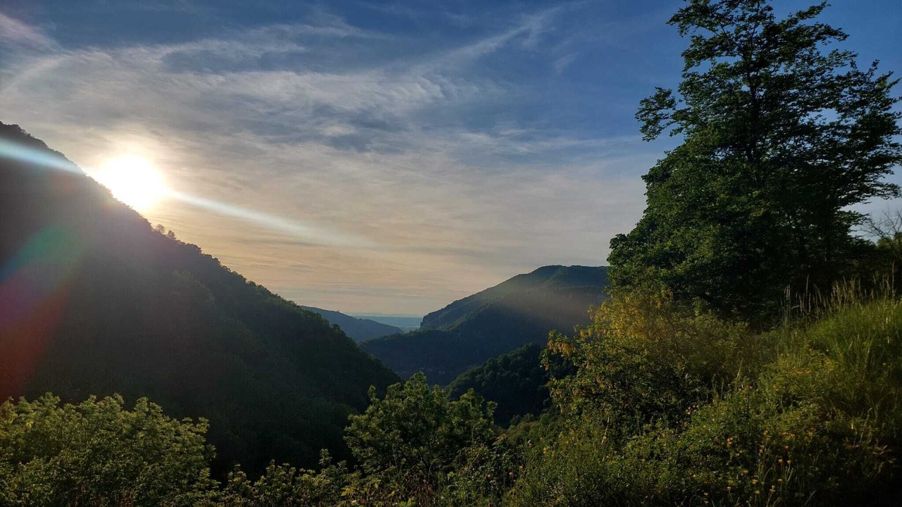 Photo of Outdoor in Torcieu