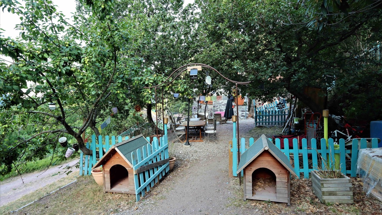 Photo of Outdoor in Belvedere
