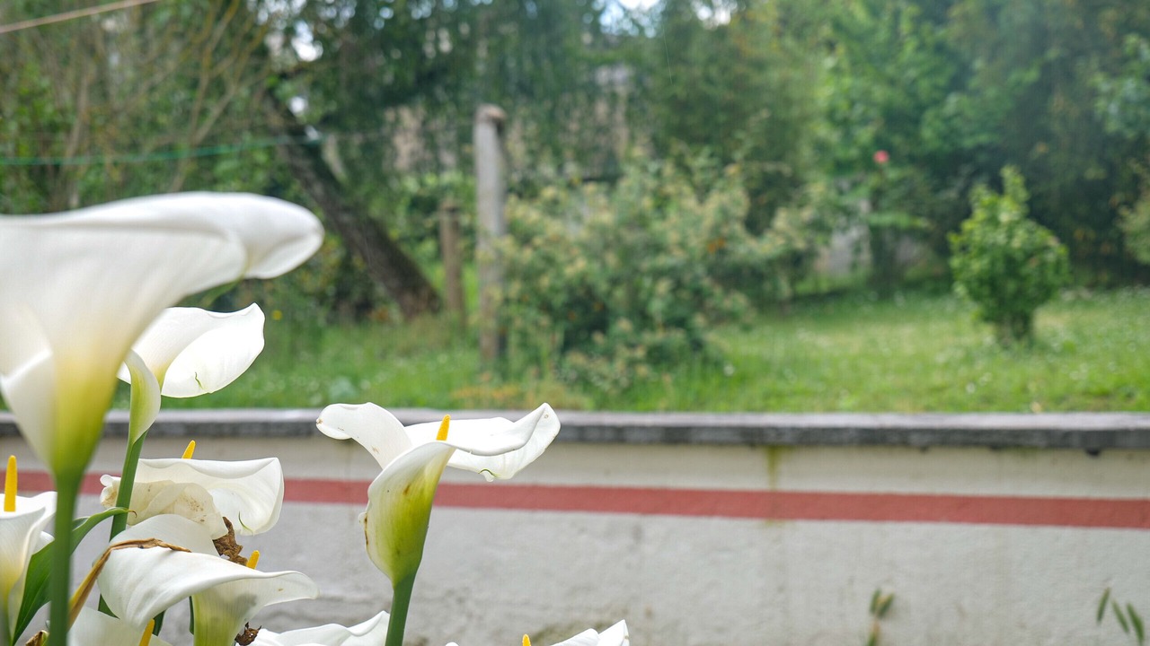 Photo of Outdoor in Deux Croix-Banchais