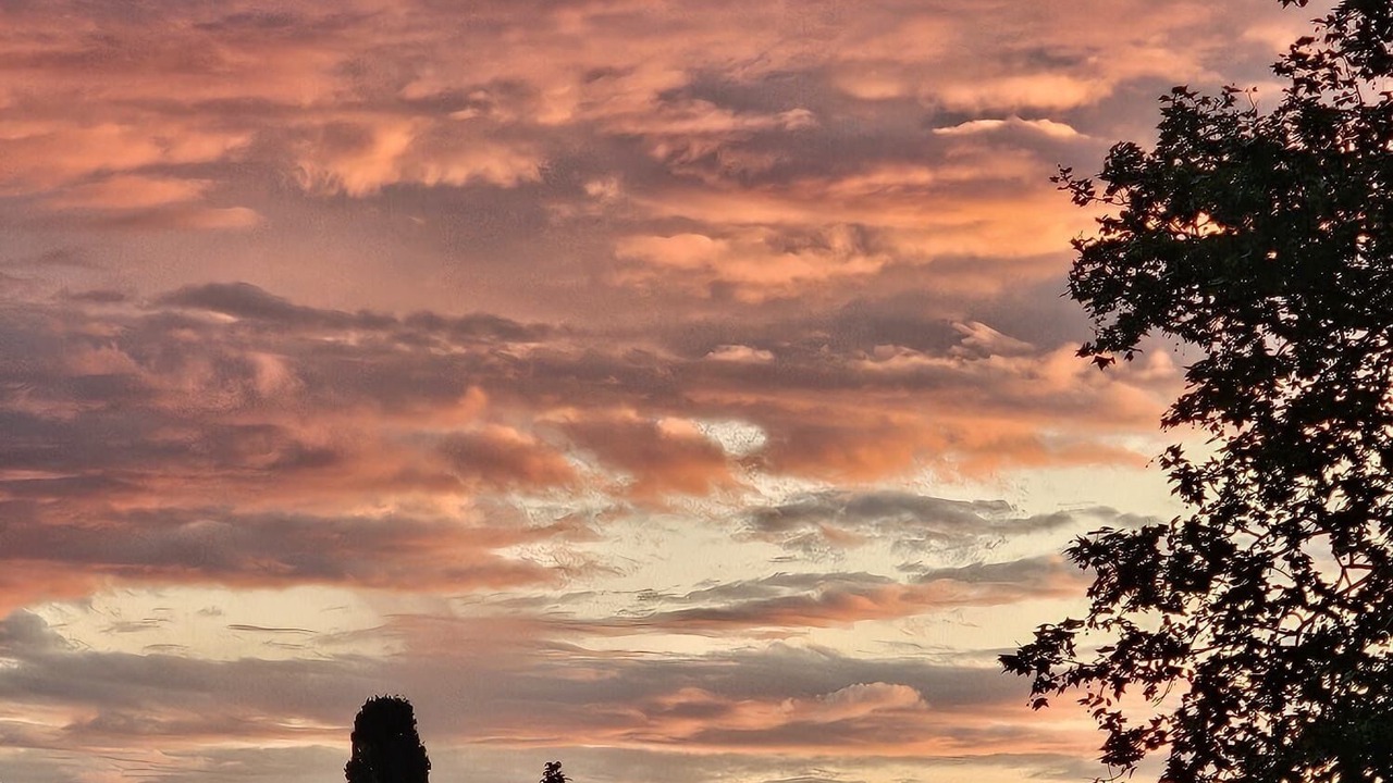 Photo of Others in Orgon