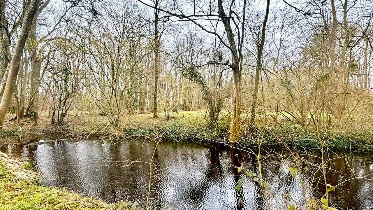 Photo of Outdoor in Montbarrois