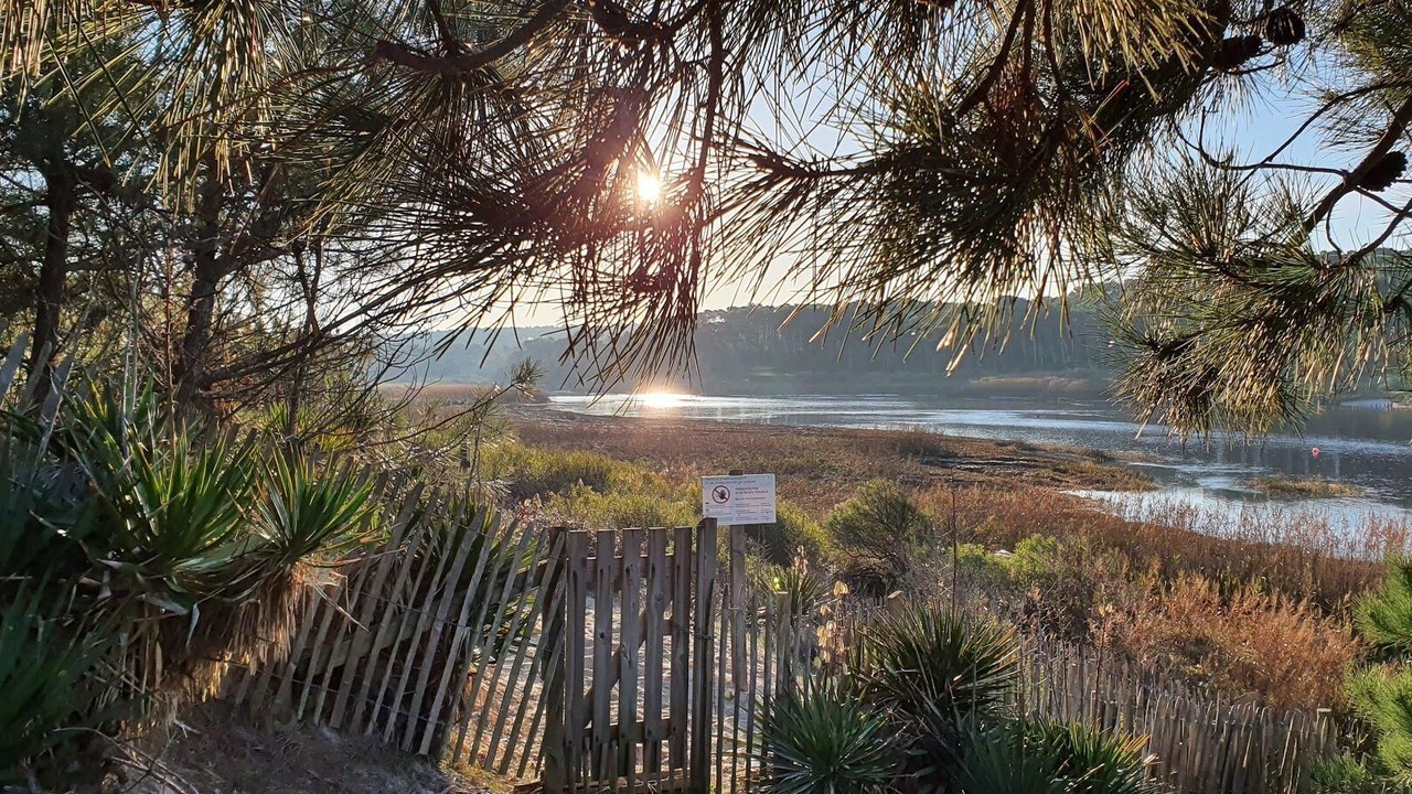 Photo of Outdoor in Lit-et-Mixe