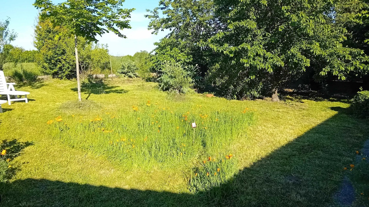 Photo of Outdoor in Saint-Alban