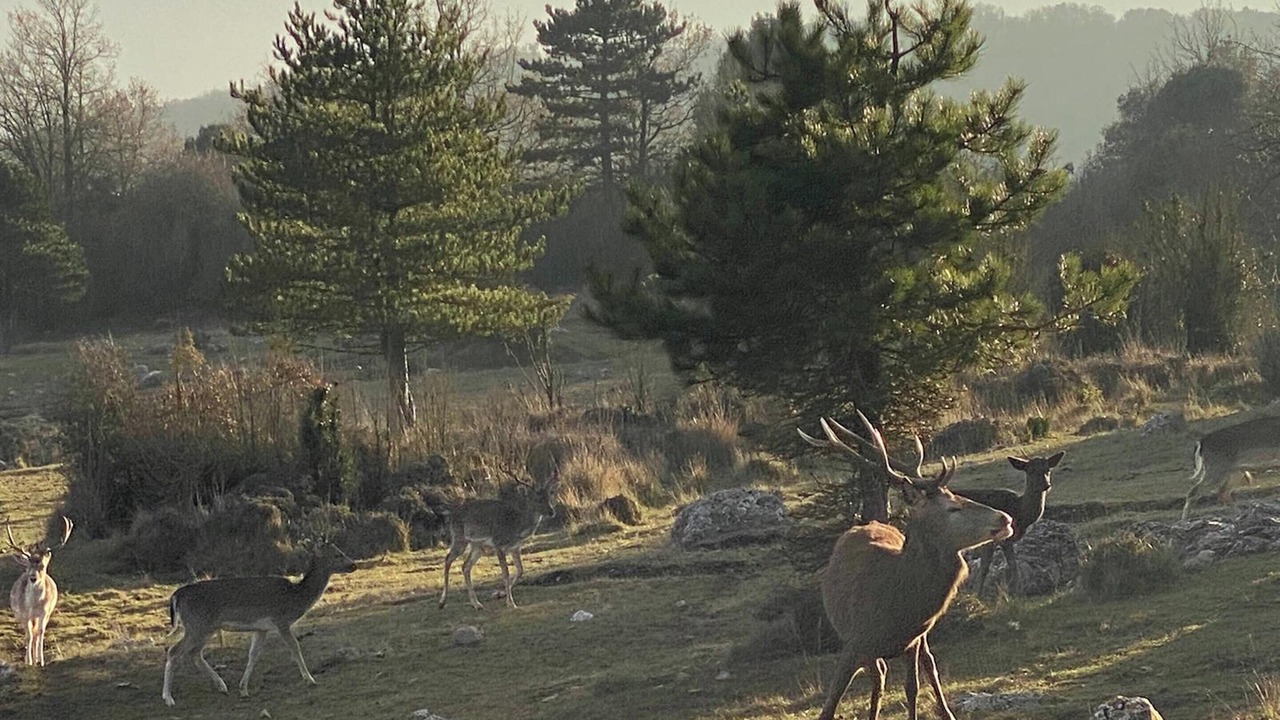 Photo of Outdoor in Camps-sur-l'Agly