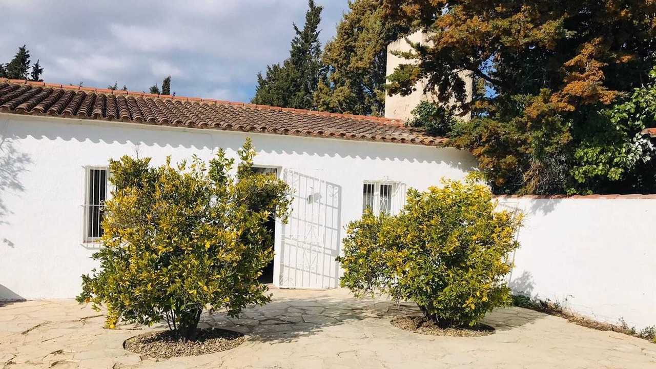 Photo of Outdoor in Albinyana