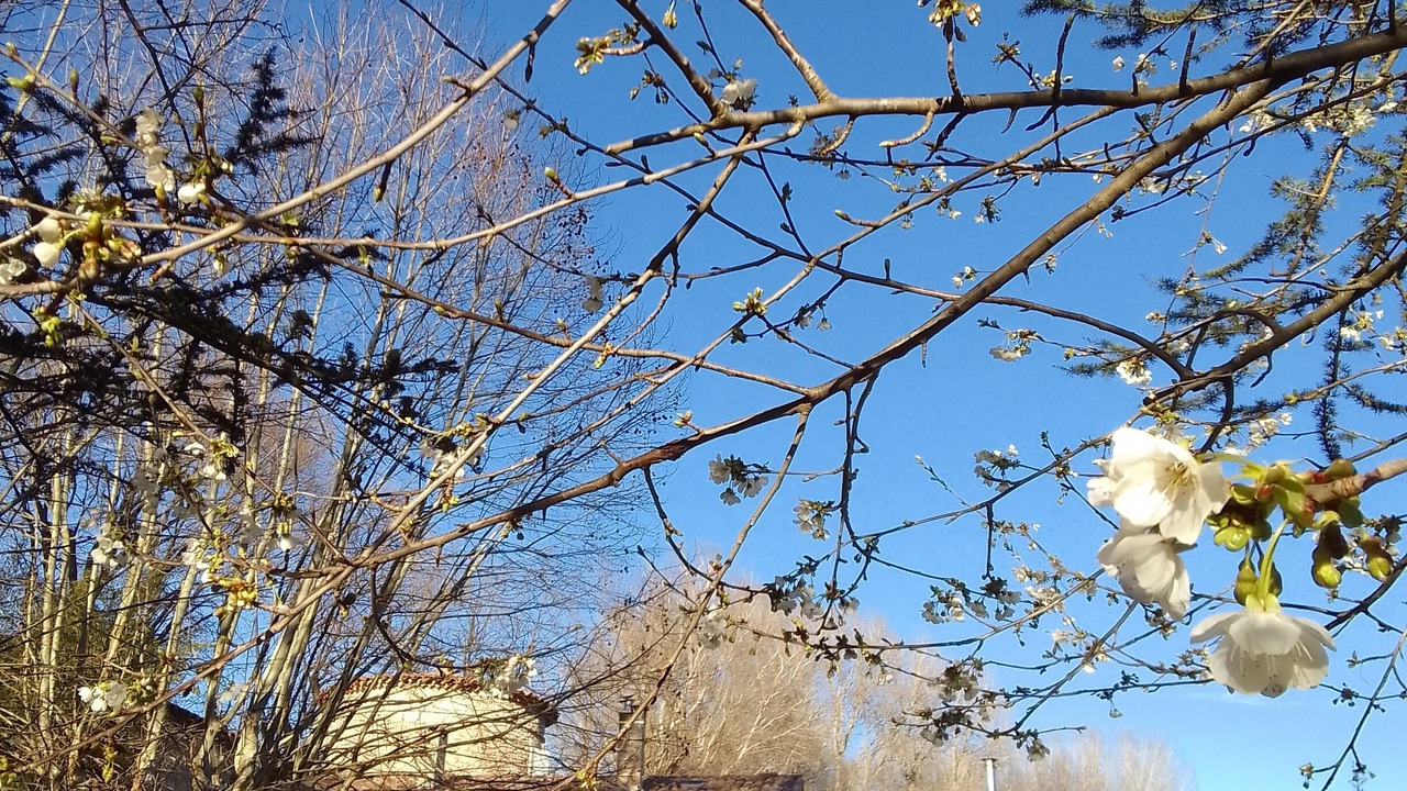 Photo of Outdoor in Dauphin
