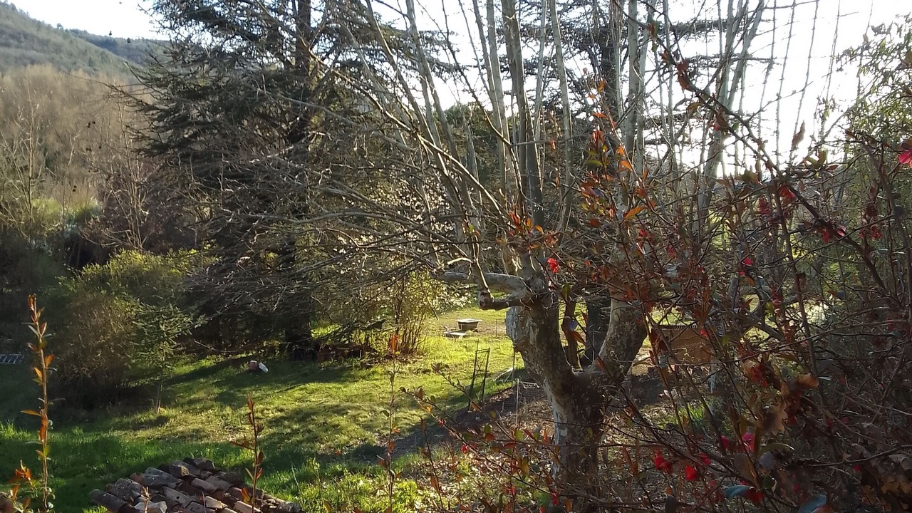 Photo of Bedroom in Dauphin