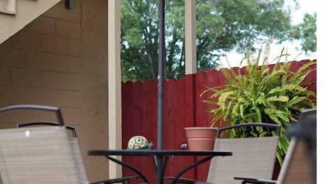 Photo of Outdoor in Citrus Park