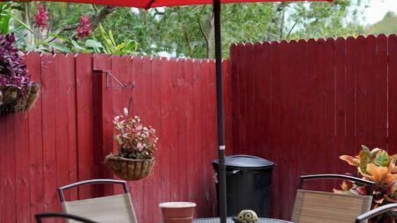 Photo of Outdoor in Citrus Park