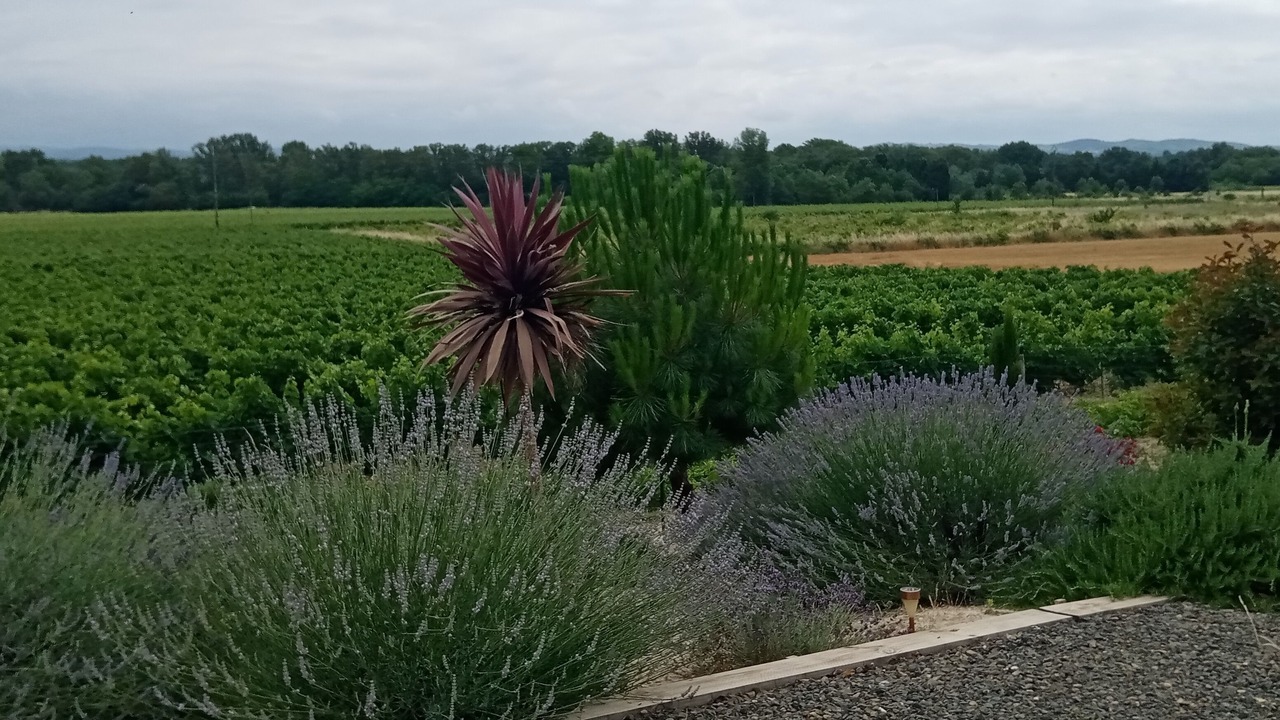 Photo of Outdoor in Malvies