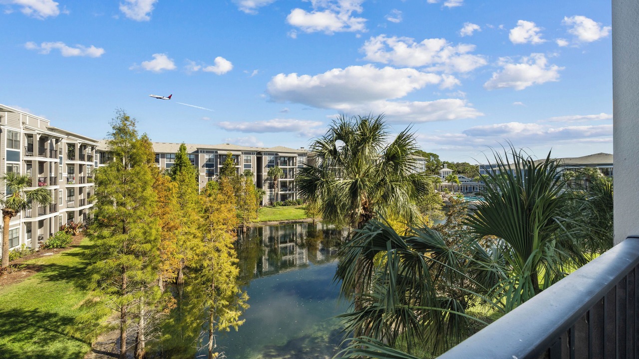 Photo of Outdoor in Tampa