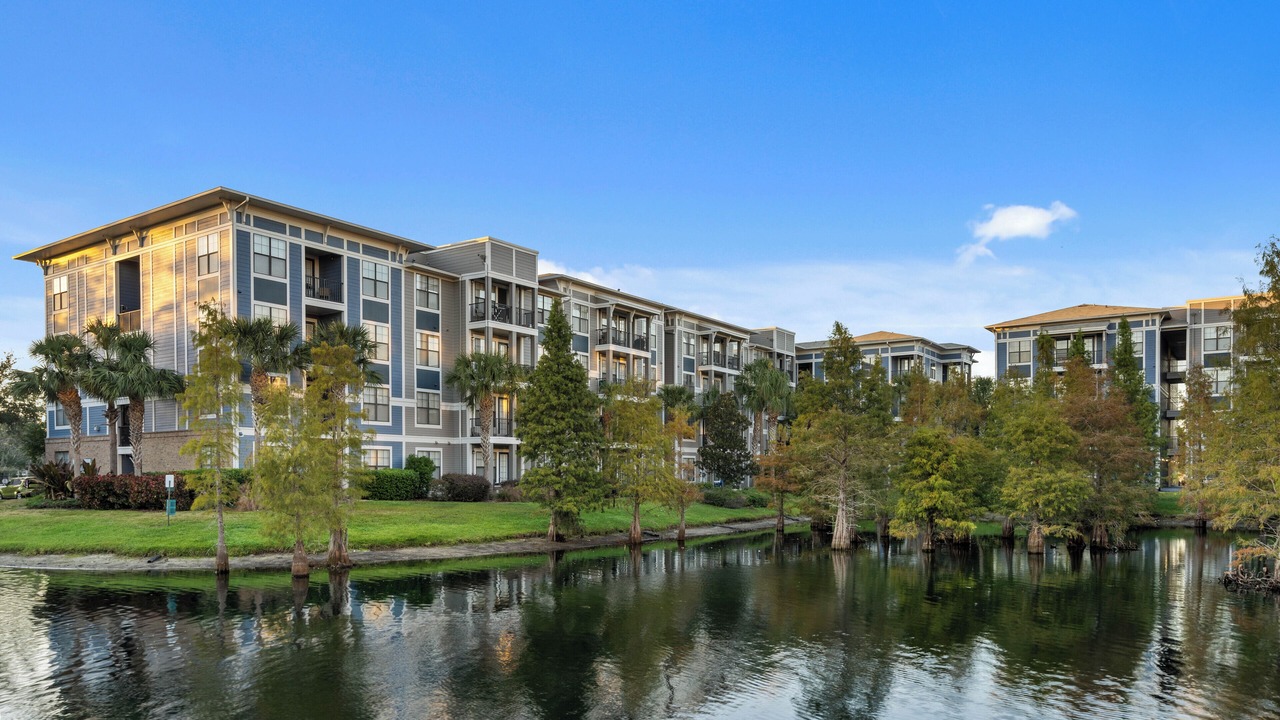 Photo of Outdoor in Tampa