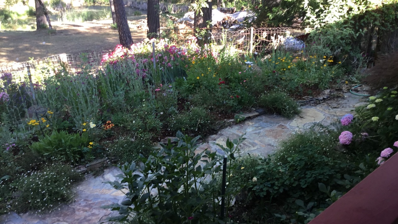 Photo of Outdoor in Mariposa