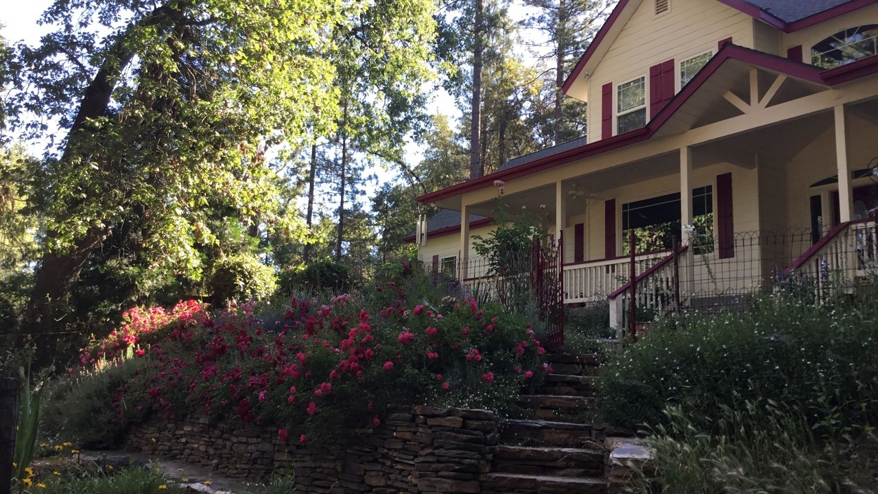 Photo of Outdoor in Mariposa