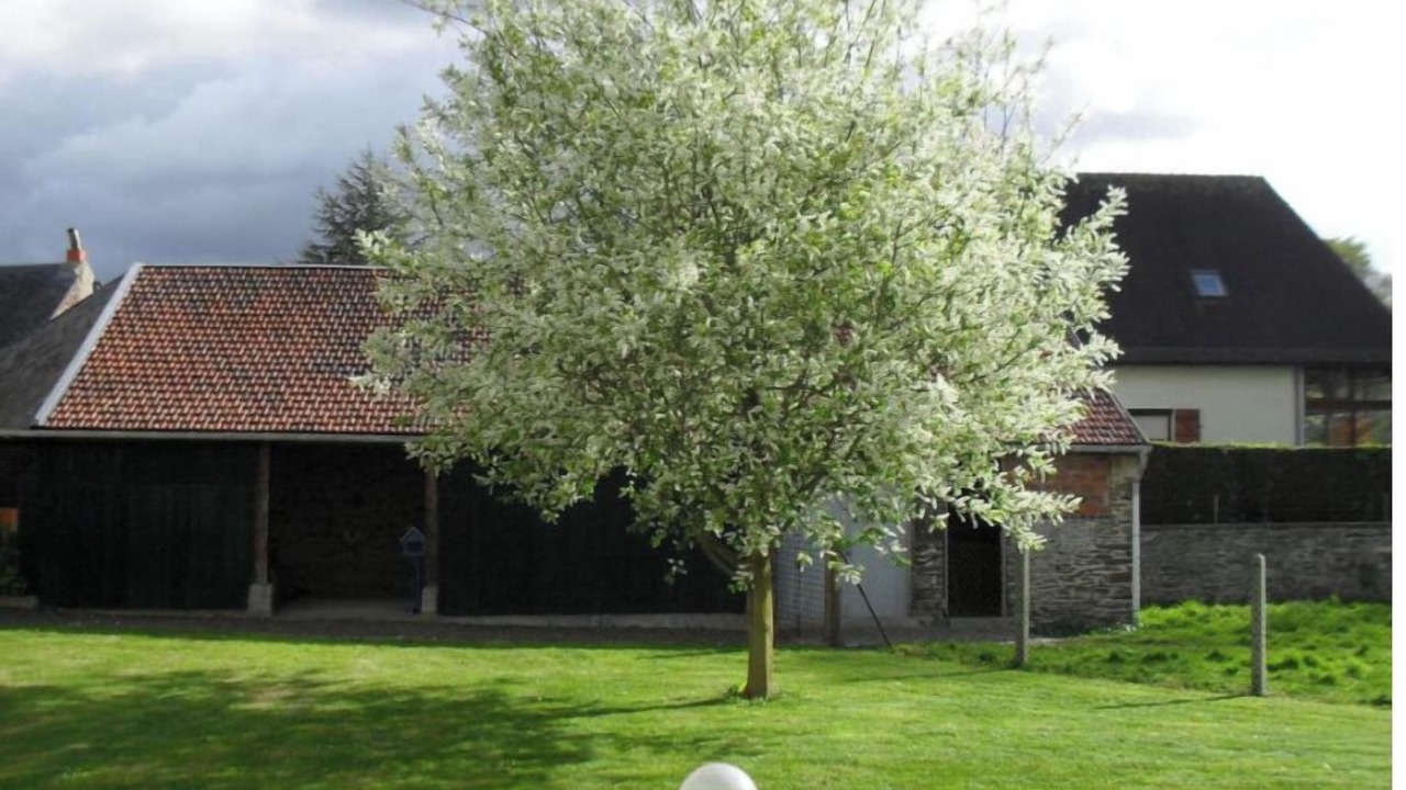 Photo of Outdoor in Le Molay-Littry