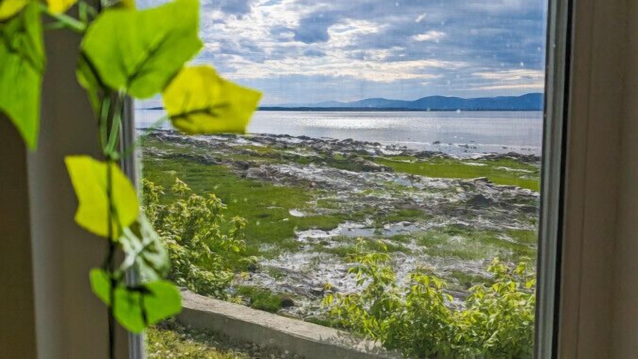 Photo of Others in Cap-Saint-Ignace