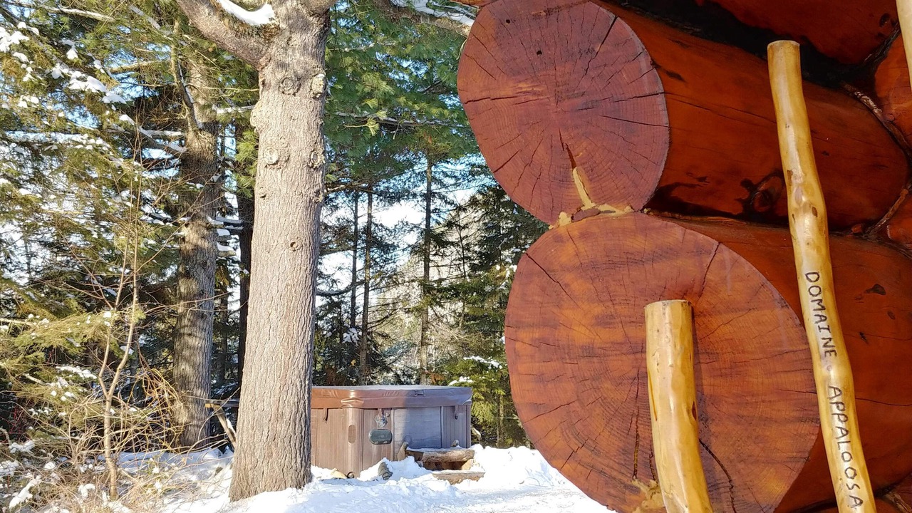 Photo of Outdoor in Notre-Dame-de-la-Merci